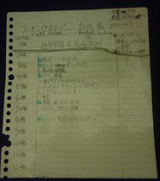 ワーホリする前の計画表。
